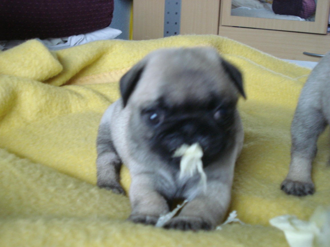DSC03788.JPG